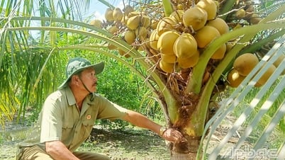 Cựu chiến binh gương mẫu, làm kinh tế giỏi