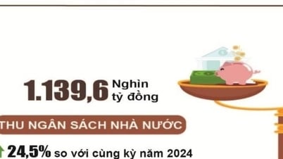 5 tháng năm 2025, thu ngân sách đạt gần 1.140 nghìn tỷ đồng, tăng 24,5%