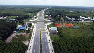 Dự án Đường vành đai 4 - Thành phố Hồ Chí Minh: Phấn đấu hoàn thành vào cuối năm 2028