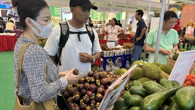 Tích cực tìm đầu ra cho sản phẩm địa phương - Bài 2