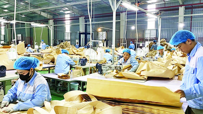 Tuyên Quang chủ động thích ứng, đẩy mạnh xuất khẩu hàng hóa