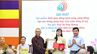 VietnamPlus의 장기 기증 관련 기사 시리즈가 2024년 불교 저널리즘 어워드에서 1등을 차지했습니다.