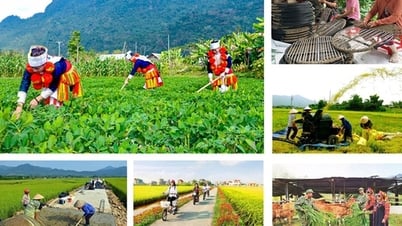 Kế hoạch tổng kết Chương trình mục tiêu quốc gia xây dựng nông thôn mới giai đoạn 2021 - 2025