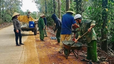 Hội viên nông dân đóng góp gần 52 tỷ đồng xây dựng nông thôn mới