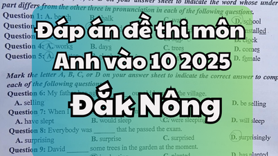 2025年ダクノン省10年生英語入学試験解答