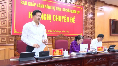 Lai Châu thống nhất điều chỉnh phương án sắp xếp đơn vị sự nghiệp