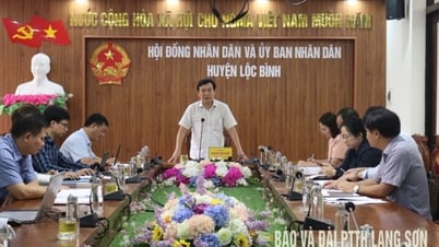 ចុះពិនិត្យការងារបង្ការ និងទប់ស្កាត់គ្រោះធម្មជាតិនៅស្រុក Loc Binh
