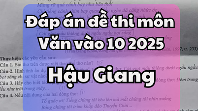 ចម្លើយចំពោះការប្រឡងចូលរៀនថ្នាក់ទី១០ ផ្នែកអក្សរសាស្រ្តឆ្នាំ ២០២៥ - ខេត្ត Hau Giang