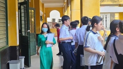 Examen de 10e année à Hô-Chi-Minh-Ville : Consultez les questions et les solutions suggérées pour les questions de littérature ICI