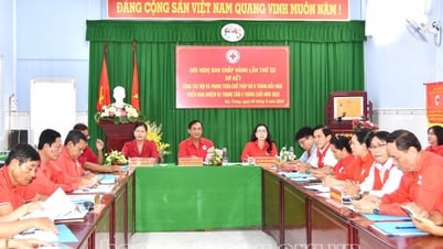 มูลค่ารวมกิจกรรมของสภากาชาดทุกระดับใน 6 เดือนแรกของปีสูงถึงกว่า 47,000 ล้านดอง