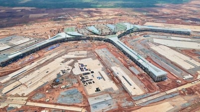 レッスン 1: 南東部地域は民間経済の「金鉱」です。