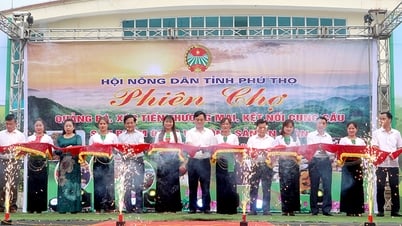 Hơn 170 sản phẩm OCOP tham gia phiên chợ quảng bá, xúc tiến thương mại, kết nối cung cầu sản phẩm tại Tân Sơn