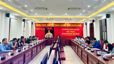 Gia Lai: 985 đại biểu tham dự hội nghị báo cáo viên