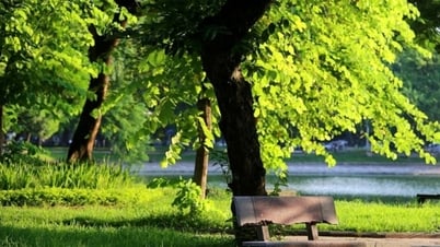 今日の天気（6月6日）：各地で暑く晴れ