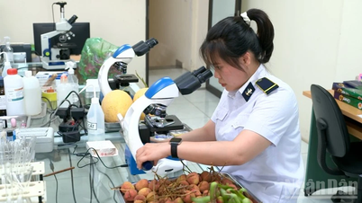 Lạng Sơn tạo điều kiện tối đa cho xuất khẩu vải thiều