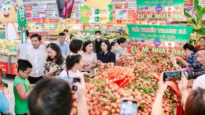 Hệ thống siêu thị GO Việt Nam cam kết mỗi ngày tiêu thụ 20 tấn vải chính vụ của Hải Dương