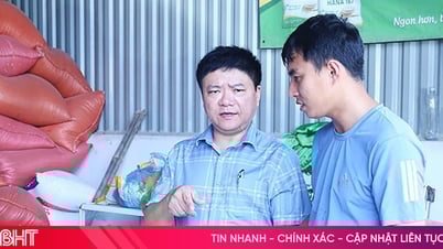 Hà Tĩnh "siết" kiểm tra giống, vật tư nông nghiệp để ngăn hàng giả