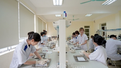 Positive signals from vocational schools