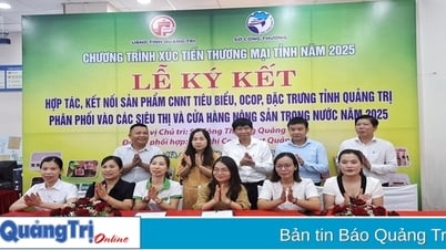 Kết nối sản phẩm công nghiệp nông thôn tiêu biểu, sản phẩm OCOP