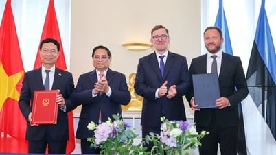 Việt Nam và Estonia tăng cường hợp tác về KHCN, ĐMST&CĐS
