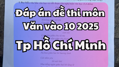 Đáp án đề thi tuyển sinh lớp 10 môn Ngữ Văn Thành phố Hồ Chí Minh 2025
