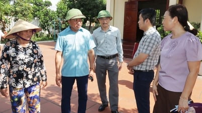 Giám sát chuyên đề việc thực hiện phân loại chất thải rắn sinh hoạt tại huyện Vĩnh Bảo