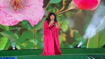 Thanh Lam และ Viet Hoan โดดเด่นในค่ำคืนแห่งดนตรีเพื่อสิ่งแวดล้อม