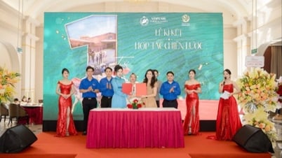 Vingroup hợp tác với Rồng Vàng phát triển ngành kinh tế đua ngựa tại Việt Nam