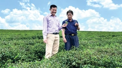 Xây dựng tổ chức Đảng và Công đoàn vững mạnh ở một doanh nghiệp