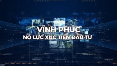Vĩnh Phúc nỗ lực xúc tiến đầu tư
