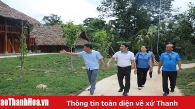 เส้นทางของฉันเอง