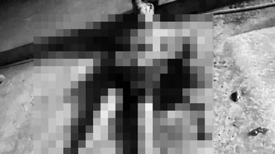 Loc Binh: Suspect used knife to injure neighbor's mother and child then committed suicide