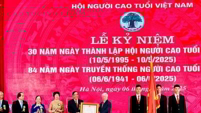 Hội Người cao tuổi Việt Nam đón nhận Huân chương Lao động hạng Nhất