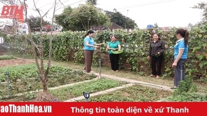 Lan tỏa phong trào “Nhà sạch, vườn đẹp”, “Hàng rào xanh”