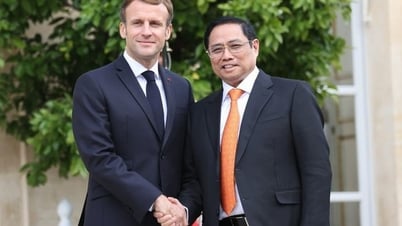 Promover el potencial de la cooperación económica y comercial entre Vietnam y Francia