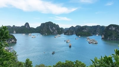 Vì vịnh Hạ Long không rác thải nhựa