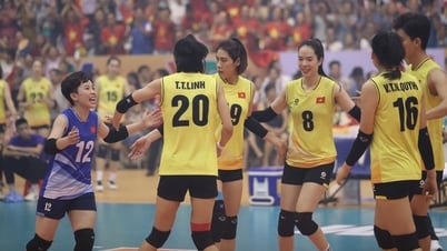 Đội tuyển bóng chuyền nữ Việt Nam sẵn sàng chinh phục AVC Nations Cup
