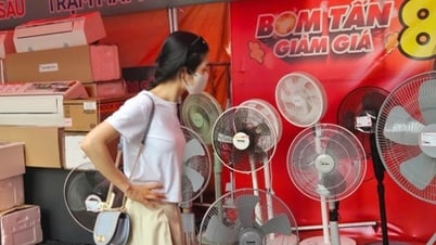 Equipos de refrigeración 'calientes' según el clima de Hanoi