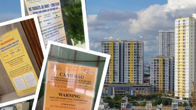 TP HCM: Dịch vụ cho thuê căn hộ ngắn ngày ở chung cư  sắp hoạt động trở lại?