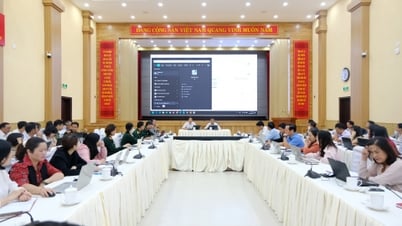 당 기관의 운영 정보 시스템을 위한 소프트웨어 관리 및 사용에 대한 교육
