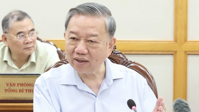 Tổng Bí thư Tô Lâm chủ trì họp Bộ Chính trị về sắp xếp tổ chức bộ máy và đơn vị hành chính