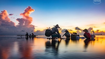 Một sáng bình yên trên biển vô cực Thái Bình