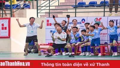 លក្ខណៈពិសេសថ្មីនៅក្នុងក្រុមអាយុ U10 ជួយ "ចិញ្ចឹម" ទេពកោសល្យវ័យក្មេង