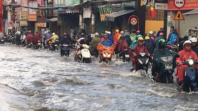 TPHCM: Khẩn trương sửa chữa hạ tầng, đảm bảo an toàn mùa mưa bão