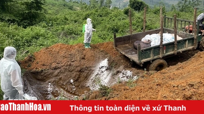 Support from 10-55,000/kg, 9-50 million VND/ha when destroying livestock, poultry, shrimp, fish due to disease
