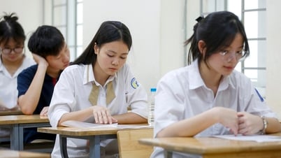 Đề thi môn Văn vào lớp 10 tỉnh Hà Nam năm 2025