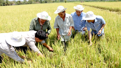 Toàn tỉnh có 17 câu lạc bộ khoa học kỹ thuật nhà nông