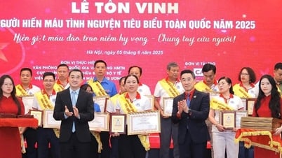 Après avoir donné son sang 34 fois, une femme de Quang Nam a été honorée au niveau central