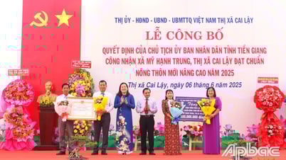 เมืองมีฮันห์จุงเปิดตัวชุมชนชนบทขั้นสูงแห่งใหม่