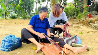 Trưởng thành từ nghề báo